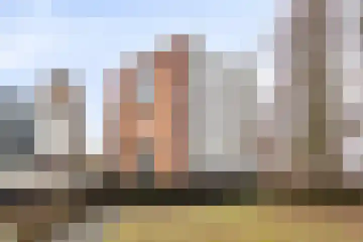 Emmalaan 71 Zutphen thumbnail 34