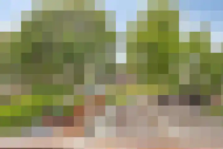 Emmalaan 75 Alphen aan den Rijn thumbnail 22