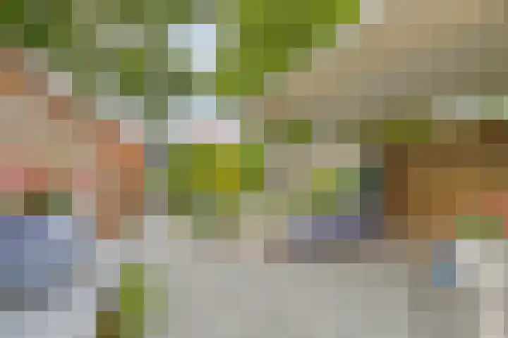 Emmalaan 75 Alphen aan den Rijn thumbnail 4