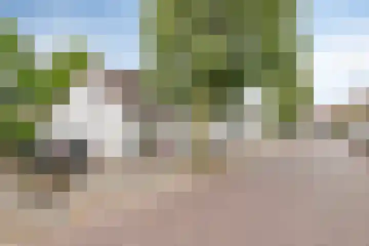 Emmalaan 75 Alphen aan den Rijn thumbnail 5