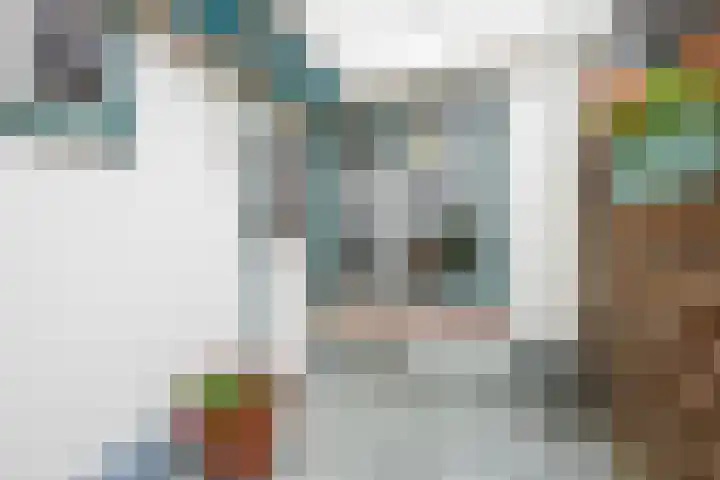 Emmalaan 75 Alphen aan den Rijn thumbnail 6