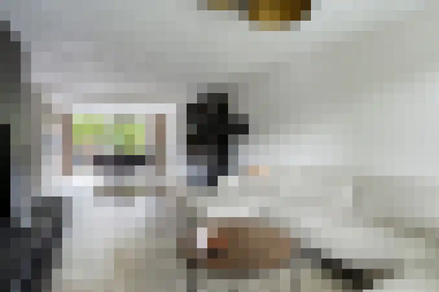 Emmalaan 79 Oss thumbnail 11