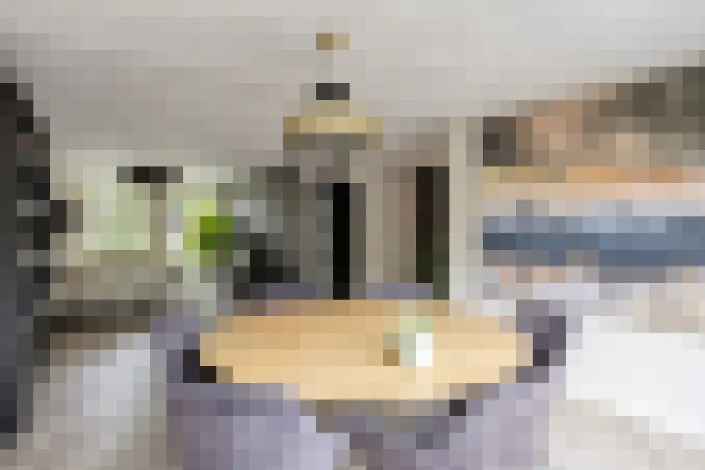 Emmalaan 79 Oss thumbnail 16