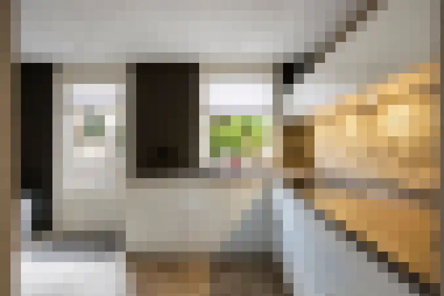 Emmalaan 79 Oss thumbnail 20