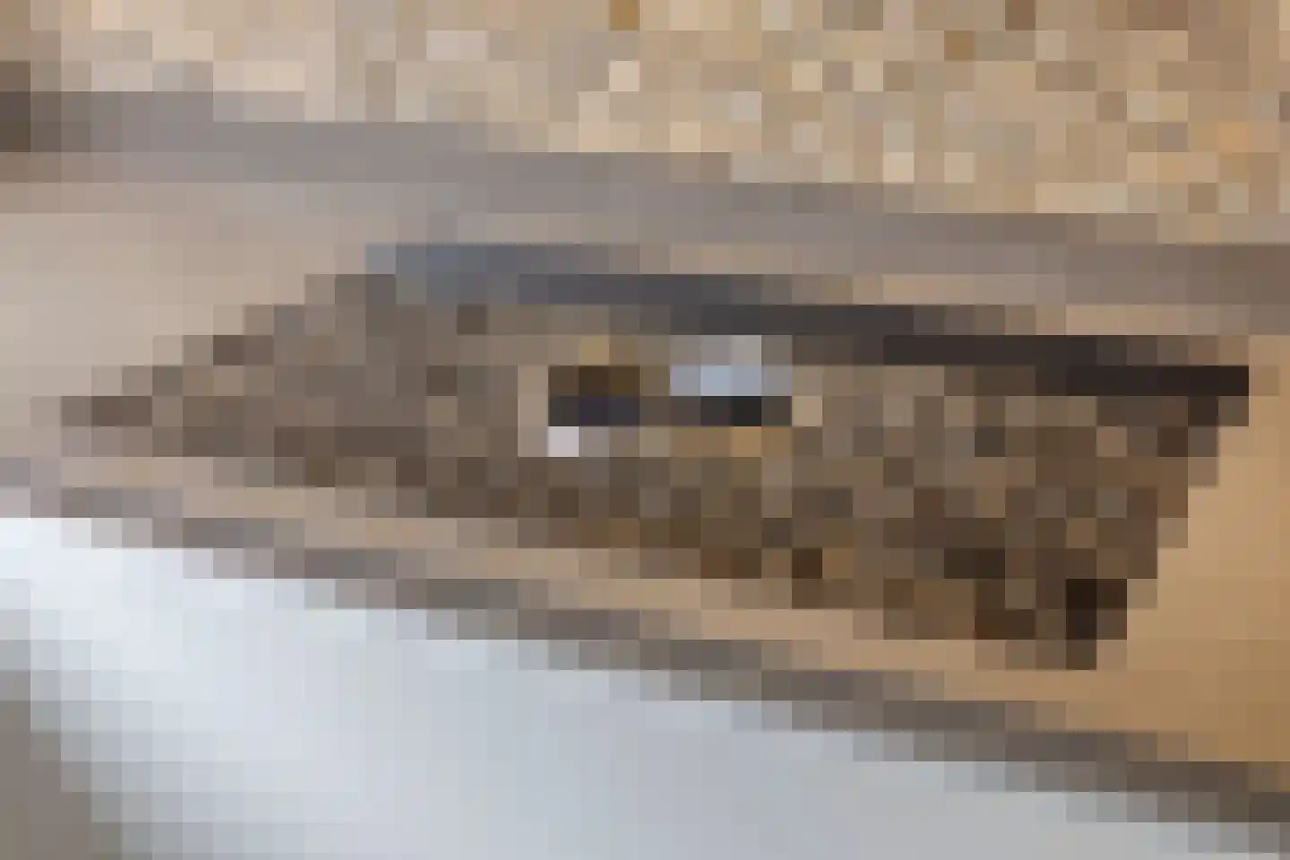 Emmalaan 79 Oss thumbnail 21
