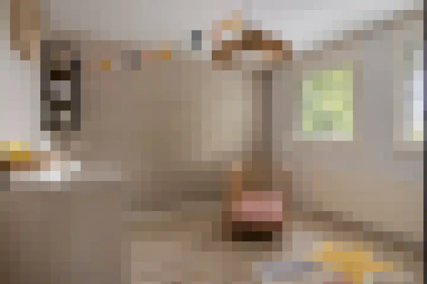 Emmalaan 79 Oss thumbnail 35