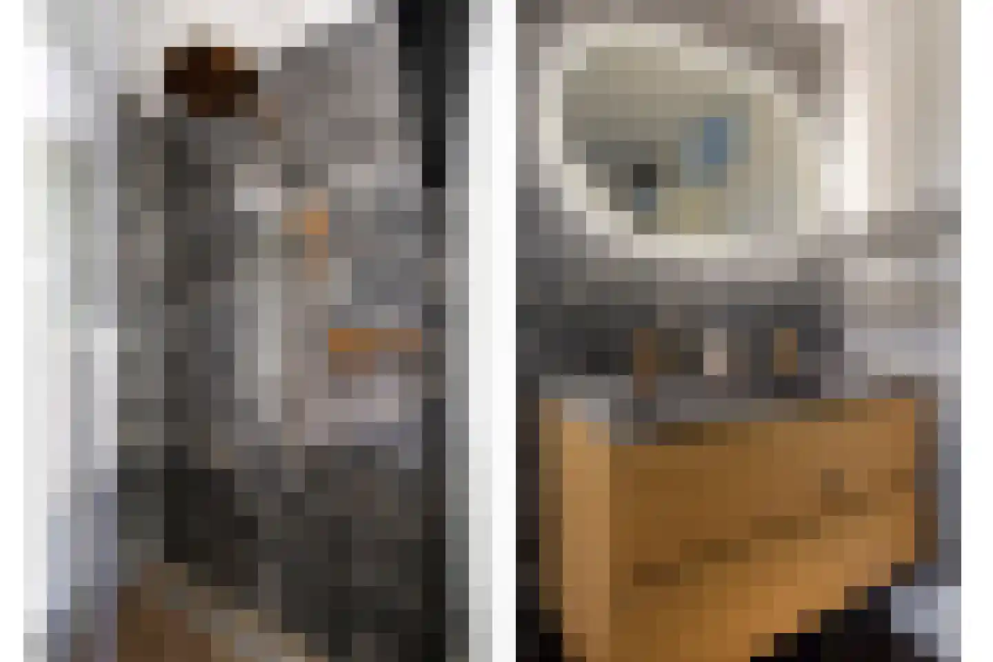 Emmalaan 79 Oss thumbnail 37