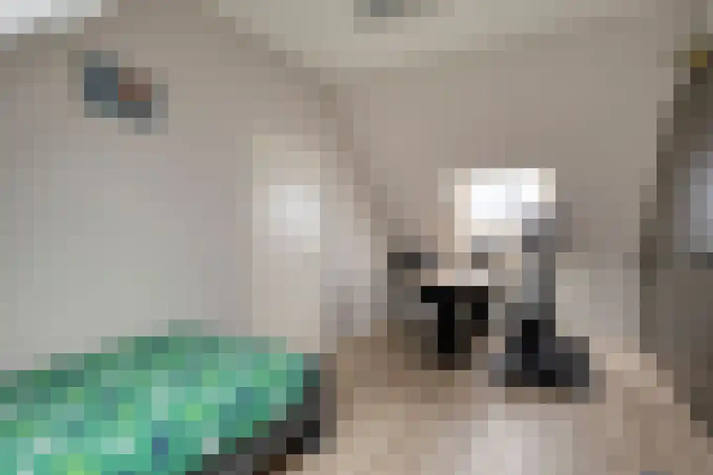 Emmalaan 79 Oss thumbnail 40
