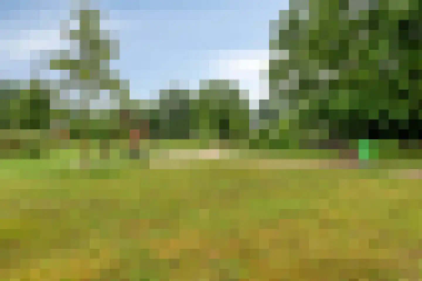 Emmalaan 79 Oss thumbnail 45