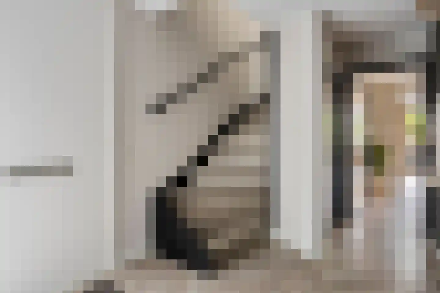 Emmalaan 79 Oss thumbnail 7