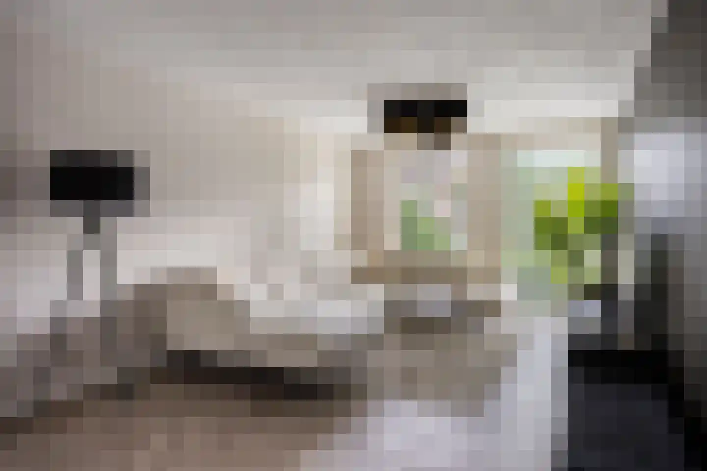 Emmalaan 79 Oss thumbnail 8