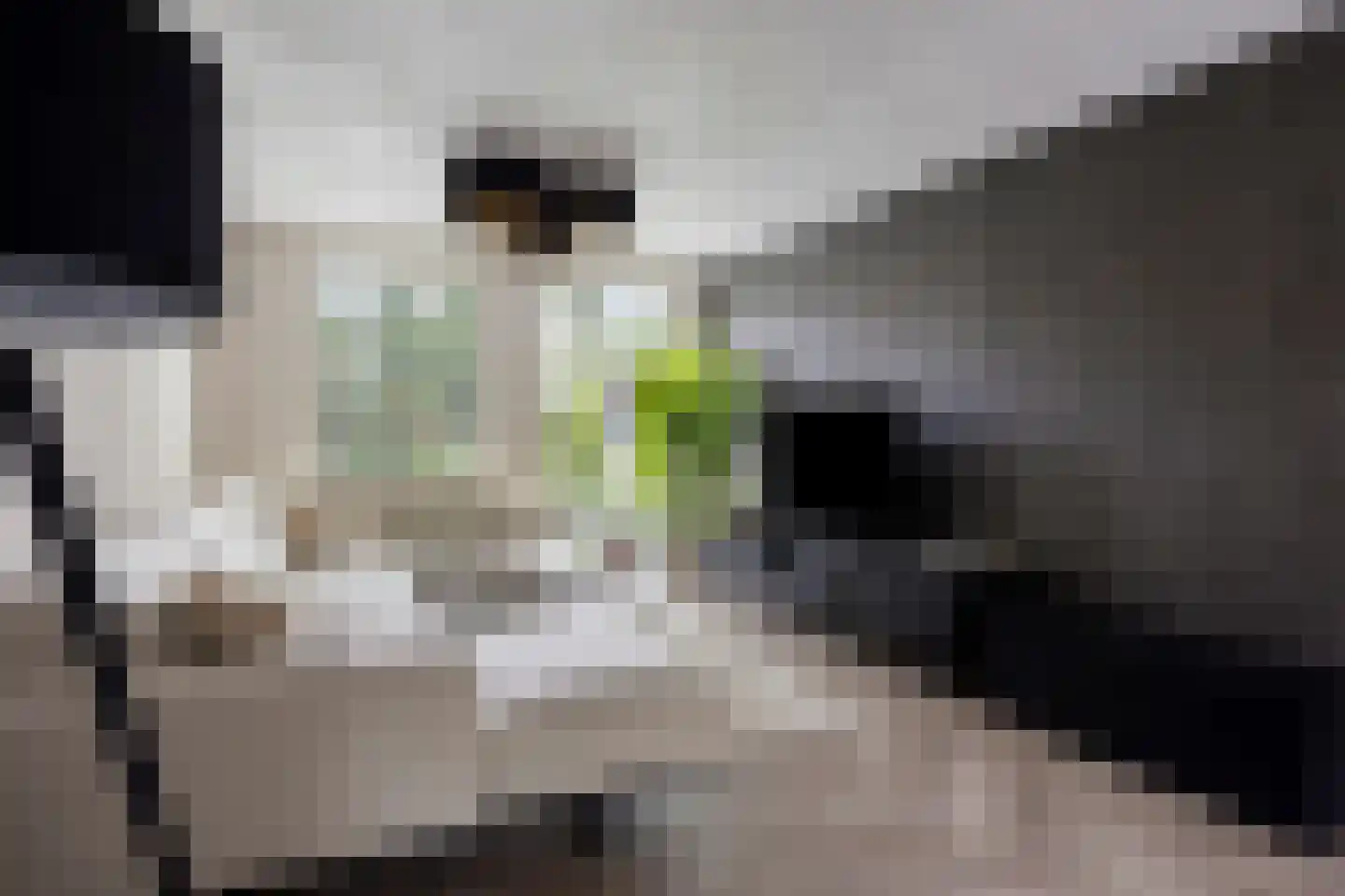 Emmalaan 79 Oss thumbnail 9
