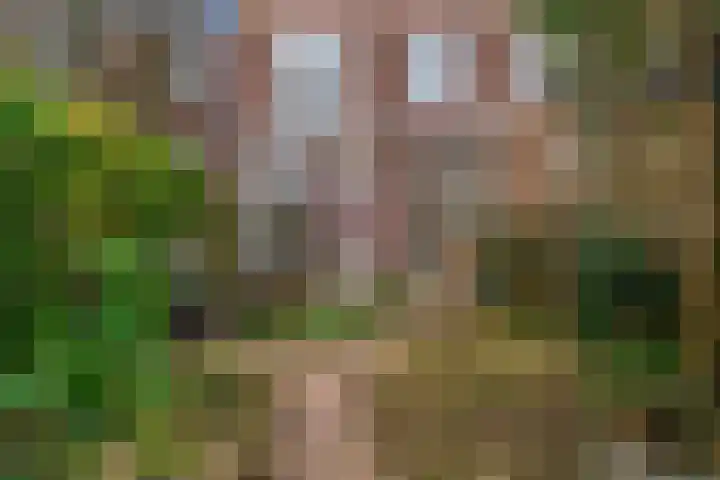 Emmalaan 8 Haarlem thumbnail 21
