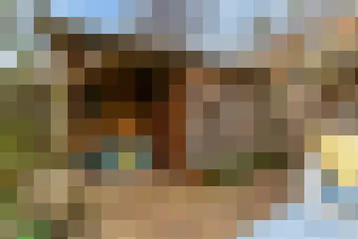 Emmalaan 8 Haarlem thumbnail 22