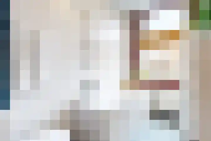 Emmalaan 8 Haarlem thumbnail 33