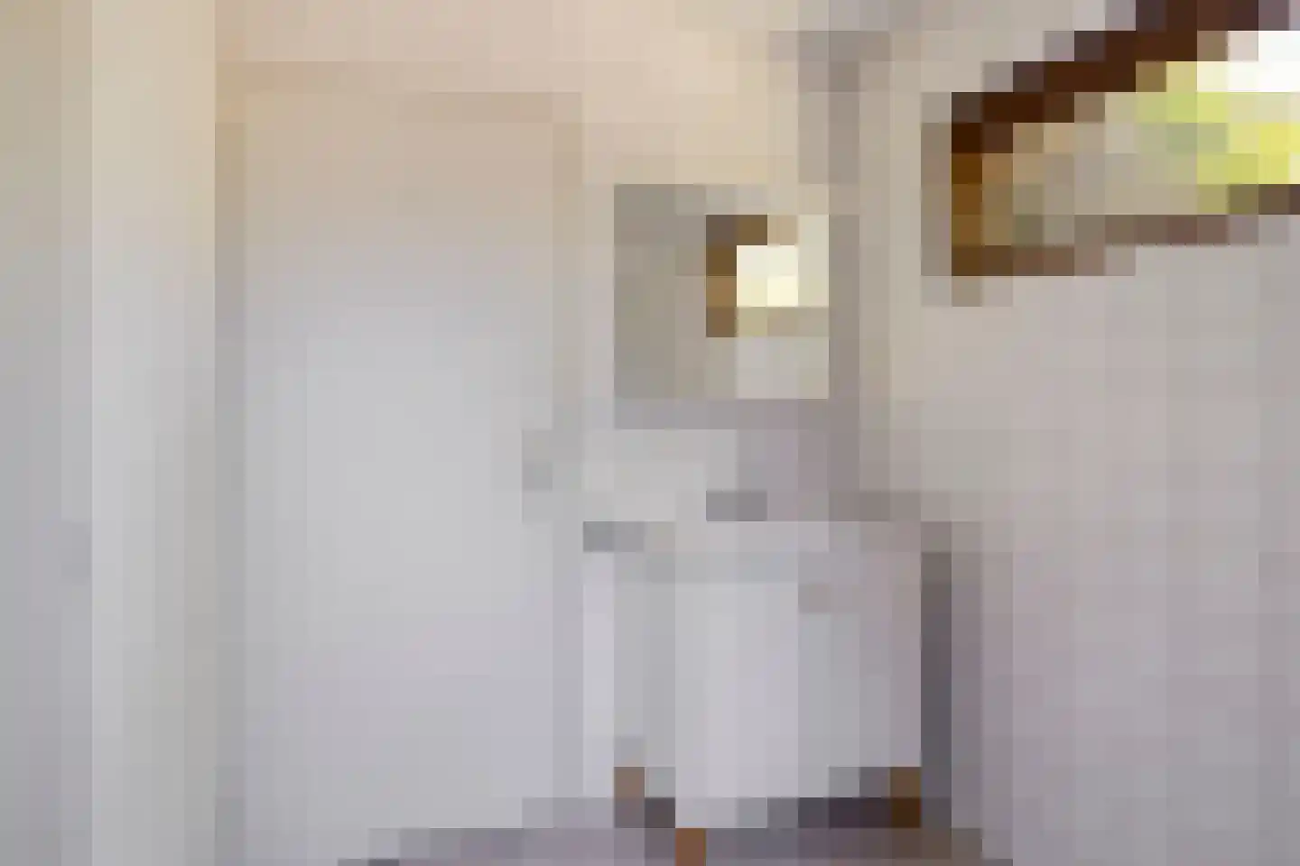 Emmalaan 8 Melick thumbnail 13