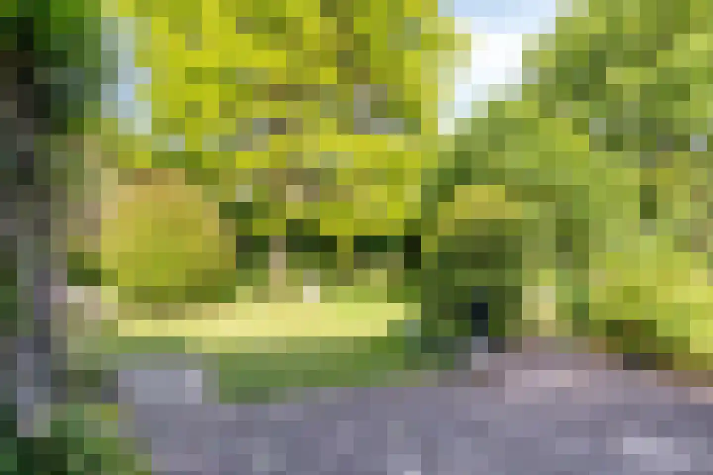 Emmalaan 8 Melick thumbnail 32
