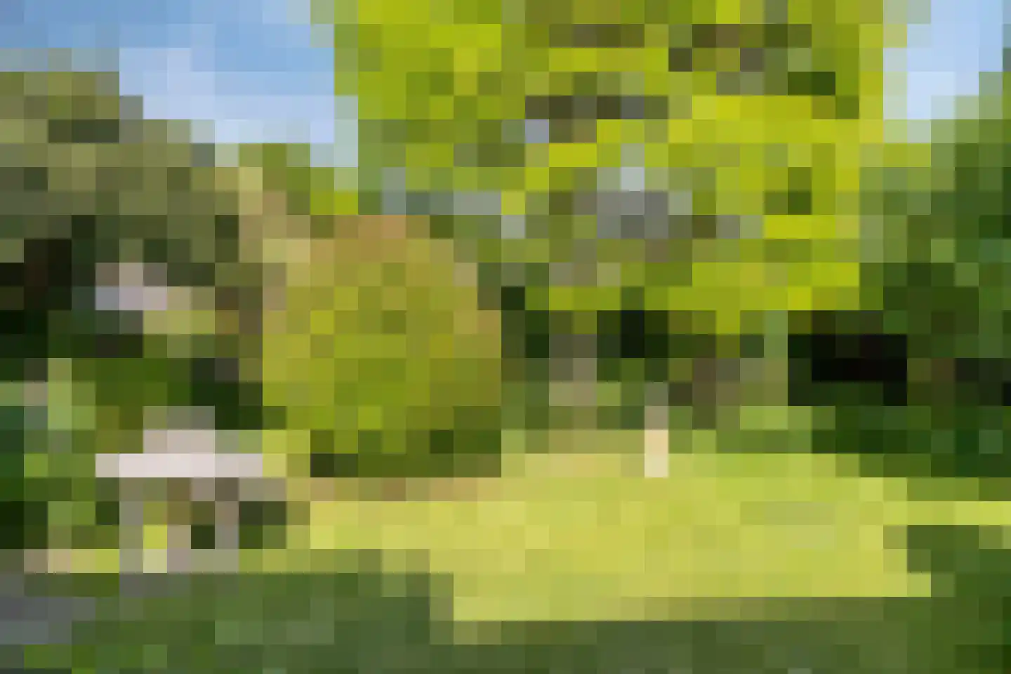 Emmalaan 8 Melick thumbnail 33