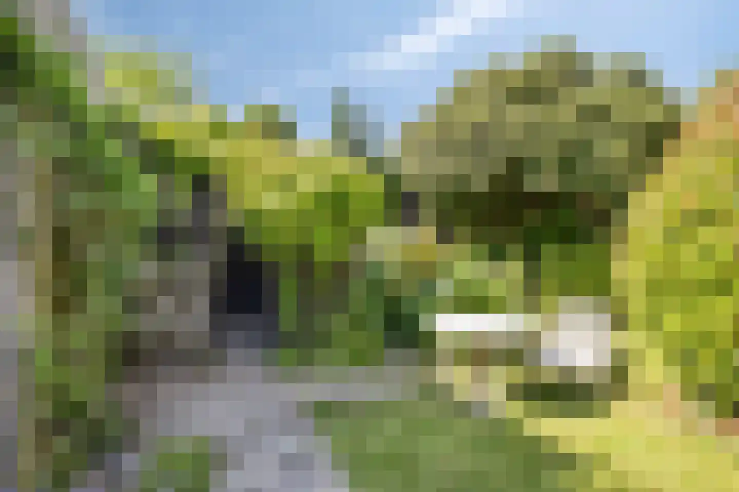 Emmalaan 8 Melick thumbnail 34