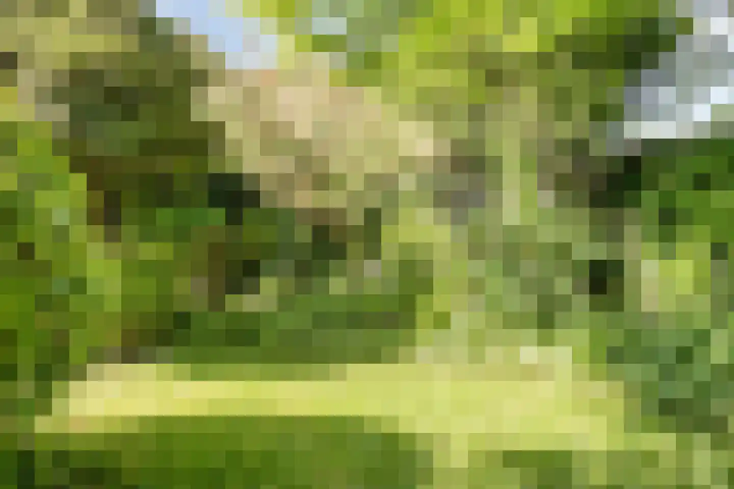 Emmalaan 8 Melick thumbnail 35