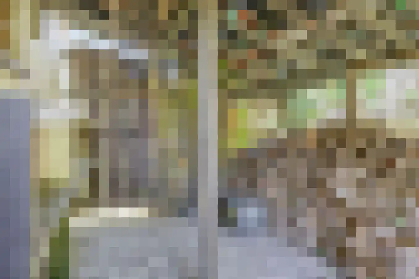 Emmalaan 8 Melick thumbnail 38
