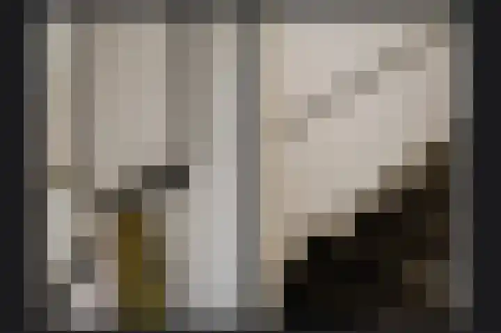 Emmalaan 9 Dodewaard thumbnail 18