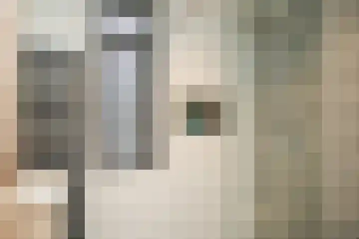 Emmalaan 9 Dodewaard thumbnail 22
