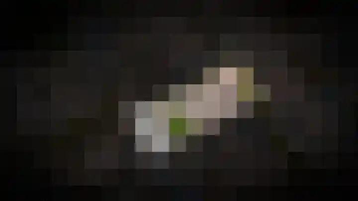 Emmalaan 9 Dodewaard thumbnail 51