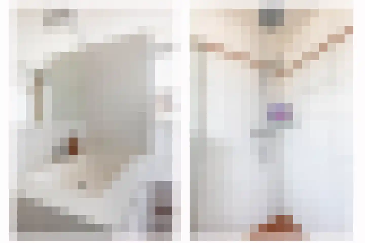 Emmalaan 9 Lopik thumbnail 21
