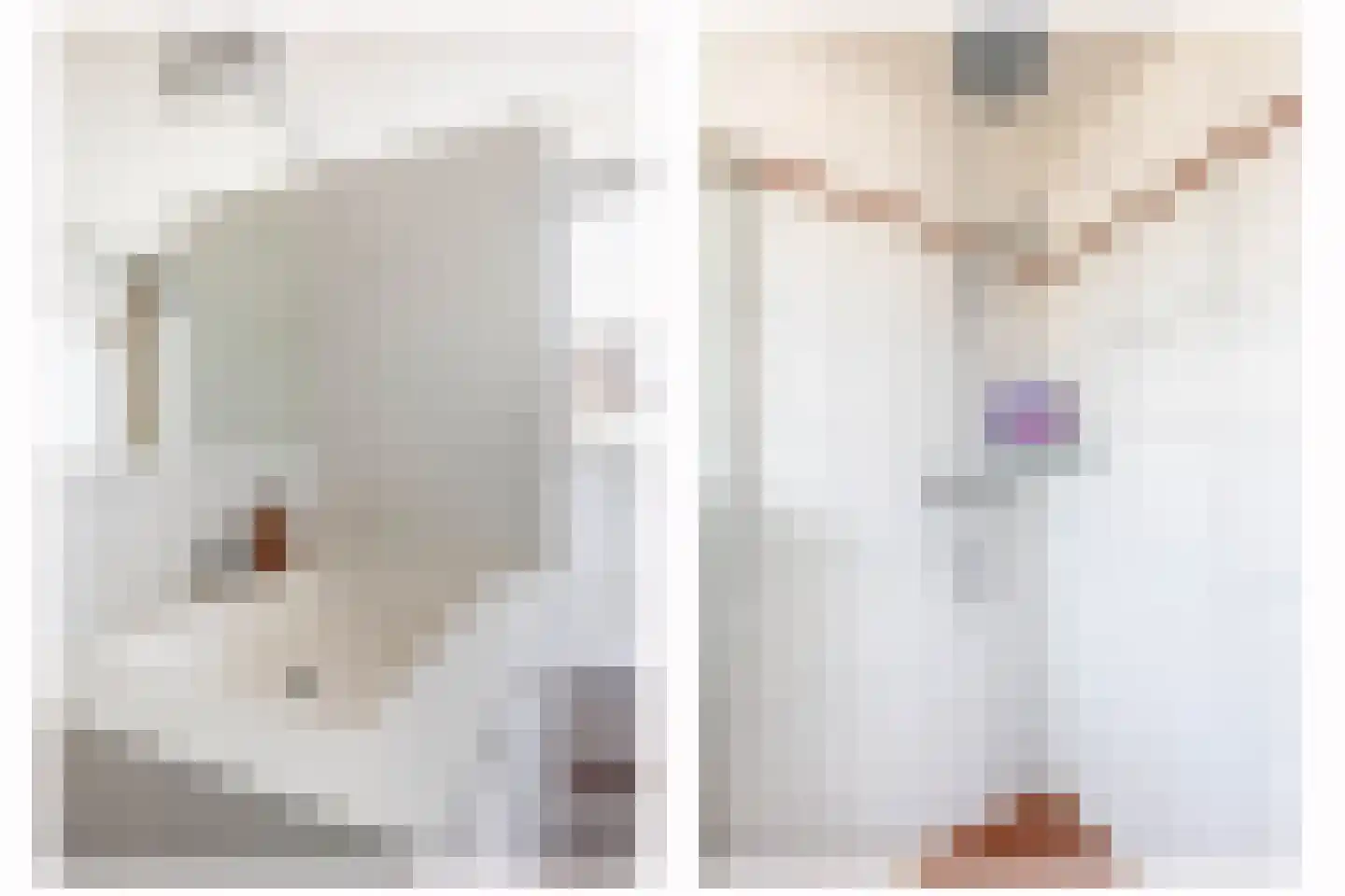 Emmalaan 9 Lopik thumbnail 21