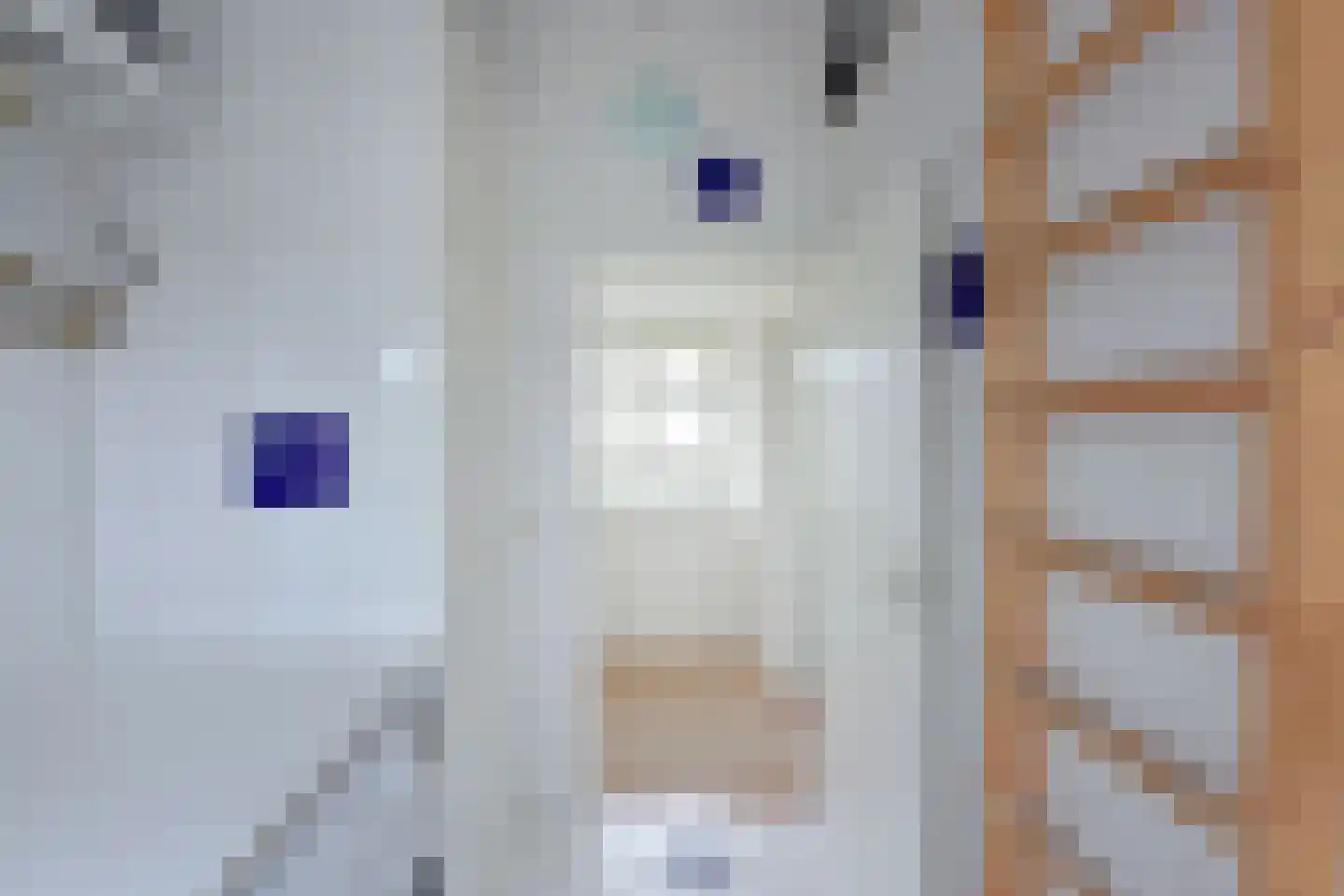Emmalaan 9 Nieuwkoop thumbnail 21