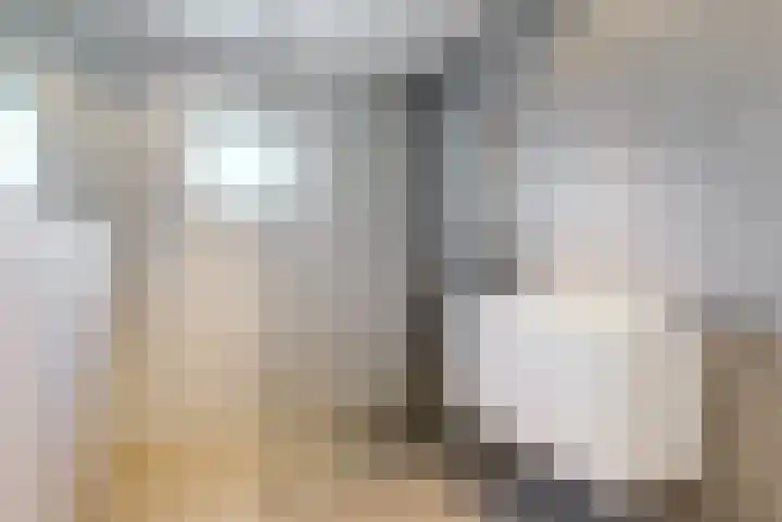 Emmalaan 9 Sassenheim thumbnail 21