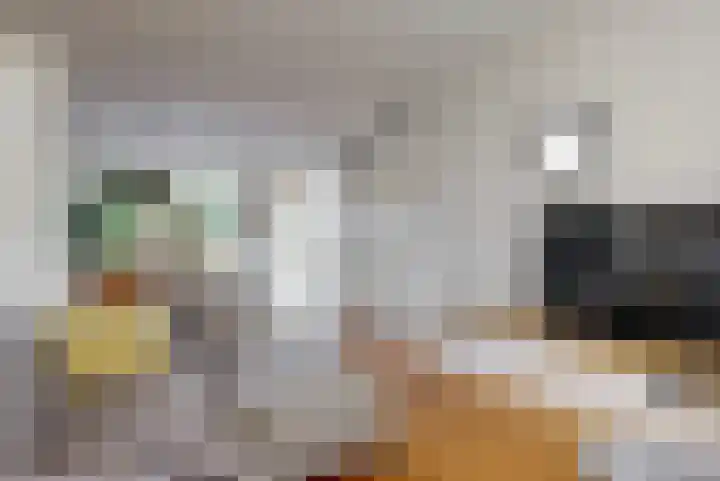 Emmalaan 9 Sassenheim thumbnail 5