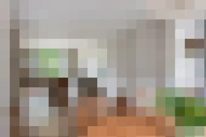 Emmalaan 9 Tiel thumbnail 14