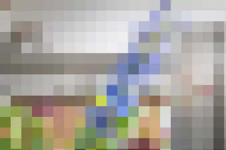 Emmalaan 9 Tiel thumbnail 15
