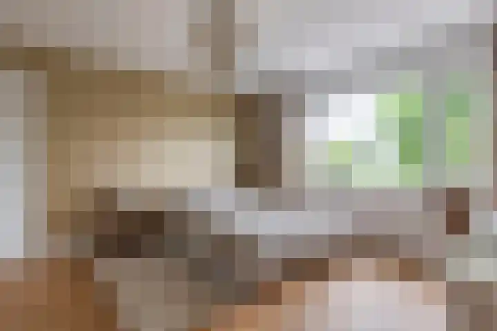 Emmalaan 9 Tiel thumbnail 31