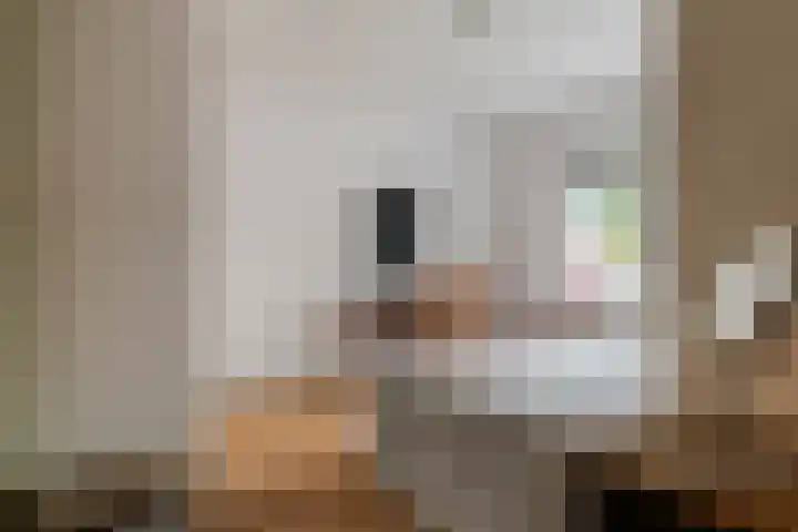 Emmalaan 9 Tiel thumbnail 33