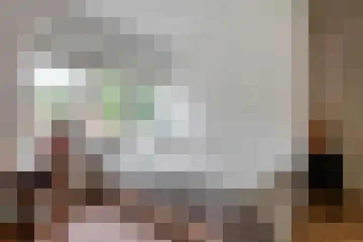 Emmalaan 9 Tiel thumbnail 34