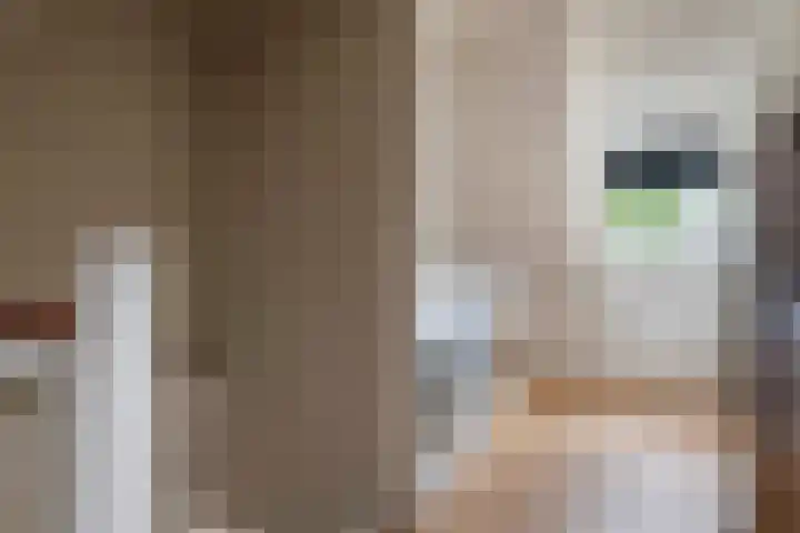 Emmalaan 9 Tiel thumbnail 40