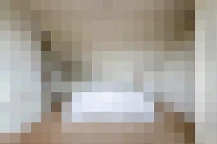 Emmalaan 9 Tiel thumbnail 42