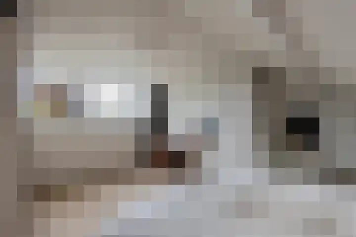 Emmalaan 9 Tiel thumbnail 43