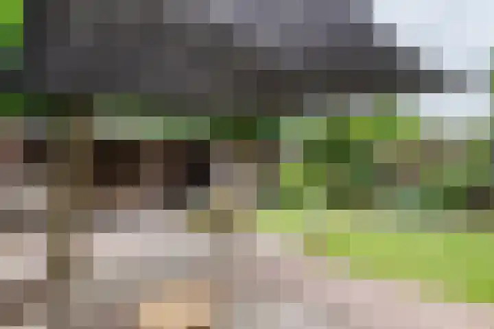 Emmalaan 9 Tiel thumbnail 45