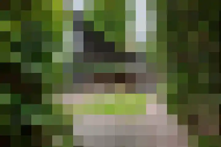 Emmalaan 9 Tiel thumbnail 46