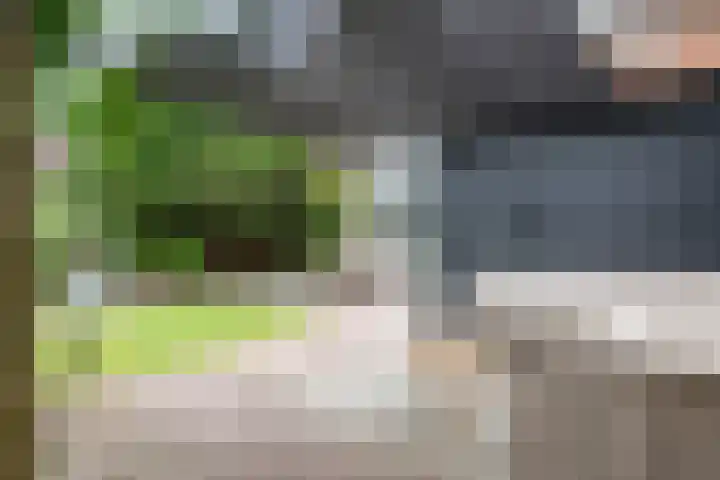 Emmalaan 9 Tiel thumbnail 48