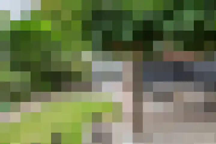 Emmalaan 9 Tiel thumbnail 49