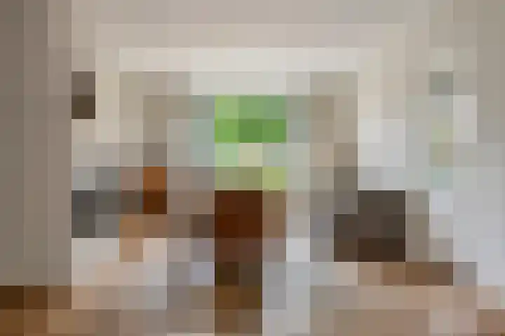 Emmalaan 9 Tiel thumbnail 5