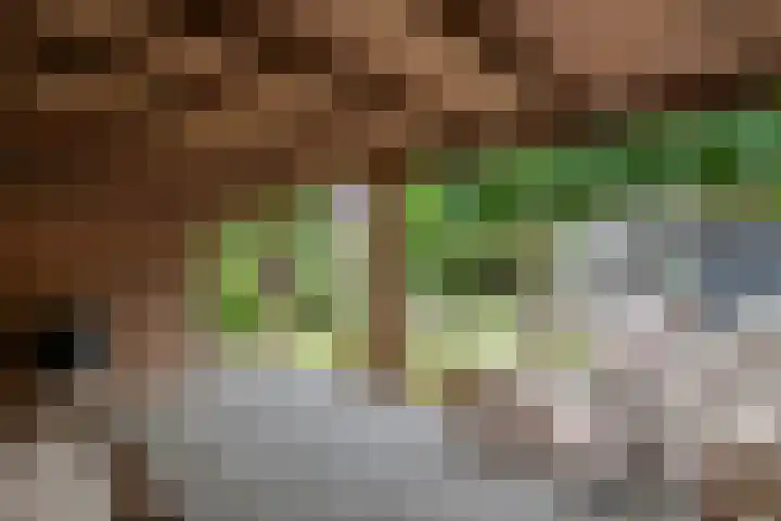Emmalaan 9 Tiel thumbnail 50