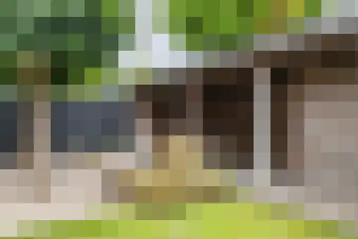 Emmalaan 9 Tiel thumbnail 52
