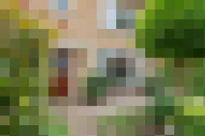Emmalaan 9 Tiel thumbnail 54