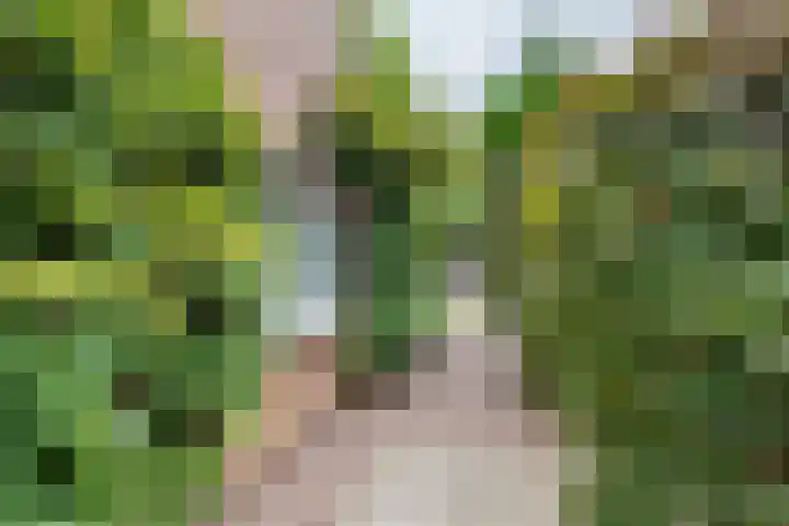 Emmalaan 9 Tiel thumbnail 55
